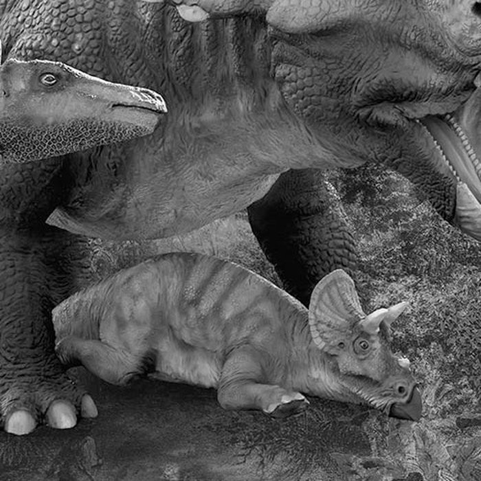 Jurassic Waterfall
