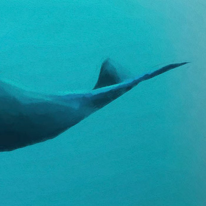 Artsy Humpback Whale