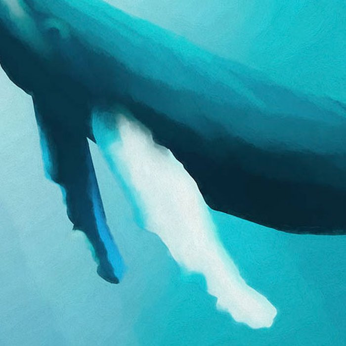 Artsy Humpback Whale