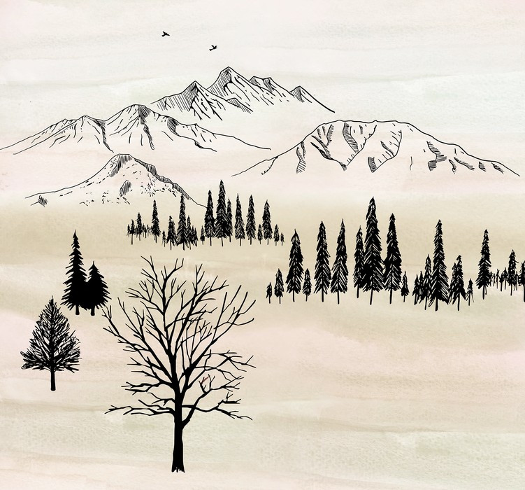 Backcountry