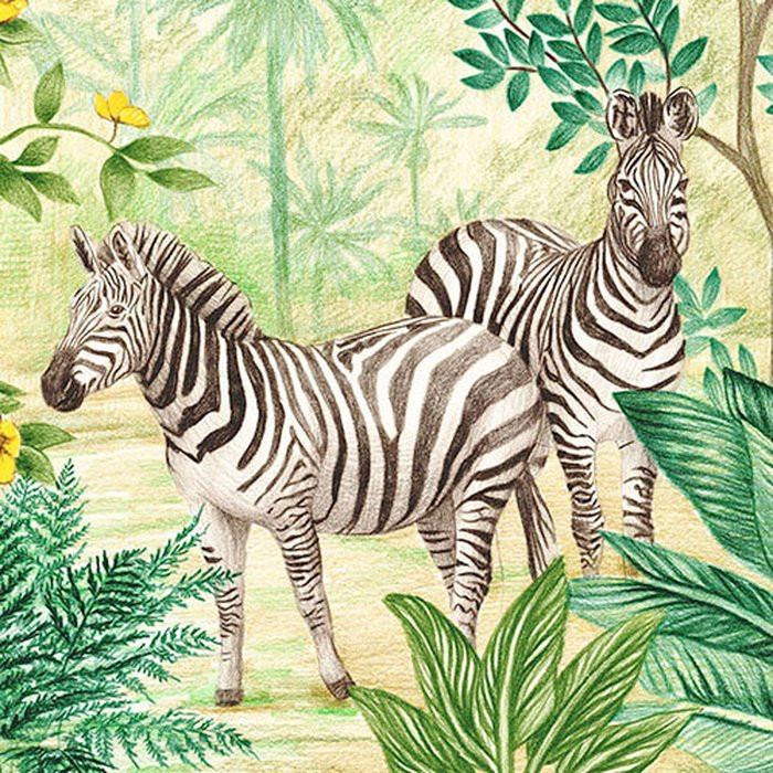 Jungle Adventure