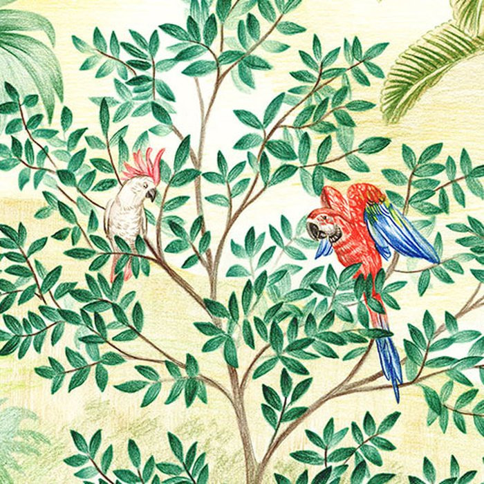 Jungle Adventure