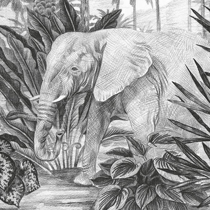 Jungle Evolution