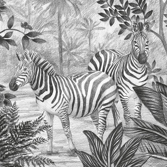 Jungle Evolution