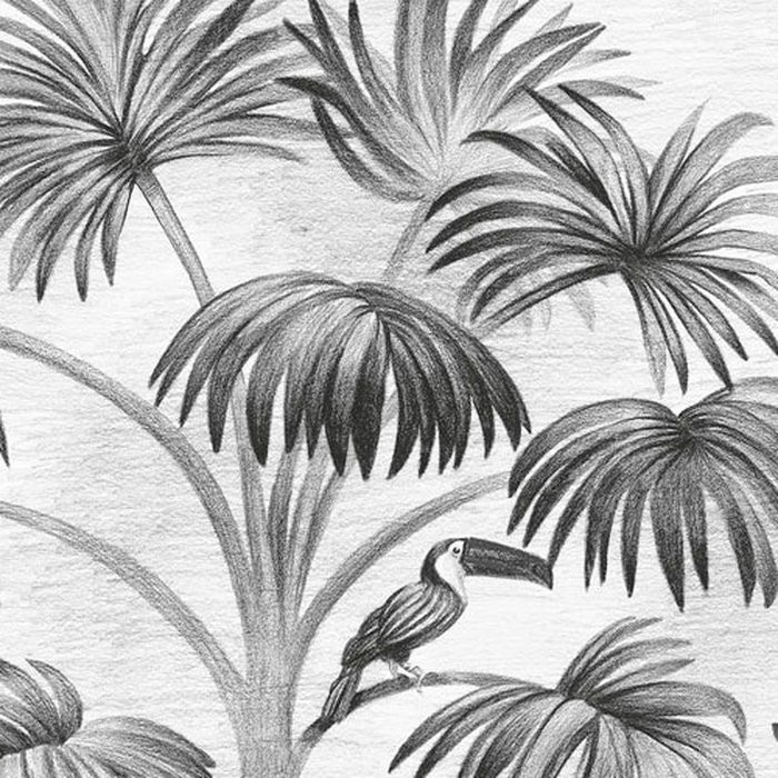 Jungle Evolution