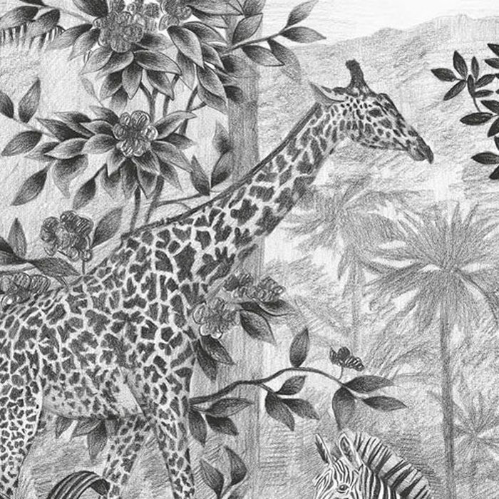 Jungle Evolution
