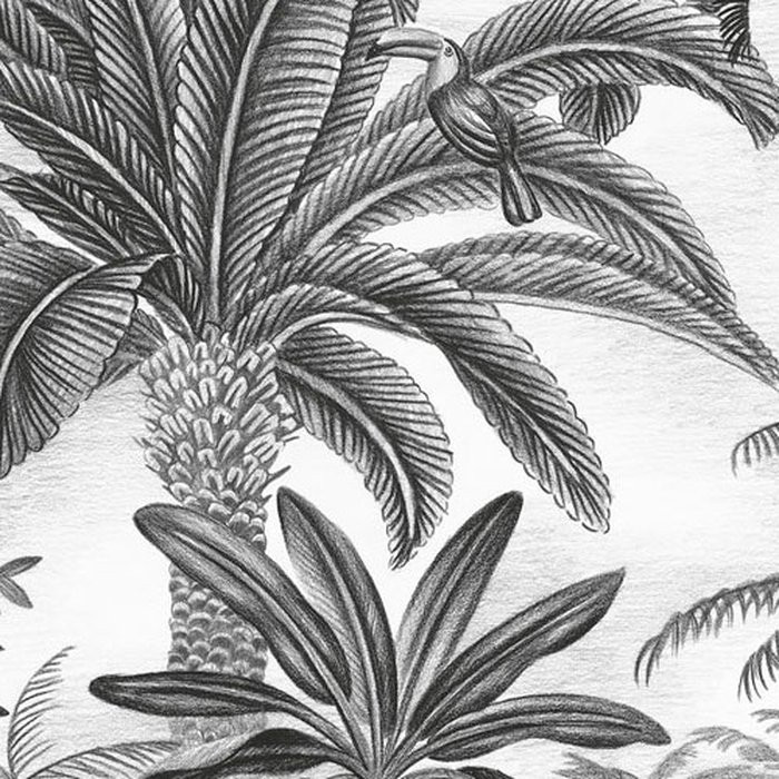 Jungle Evolution
