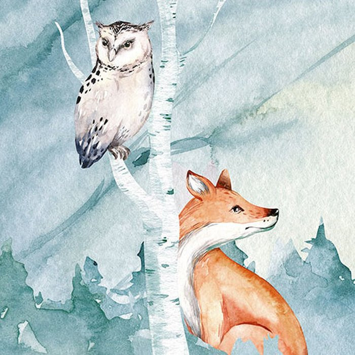 Animal Sleepover