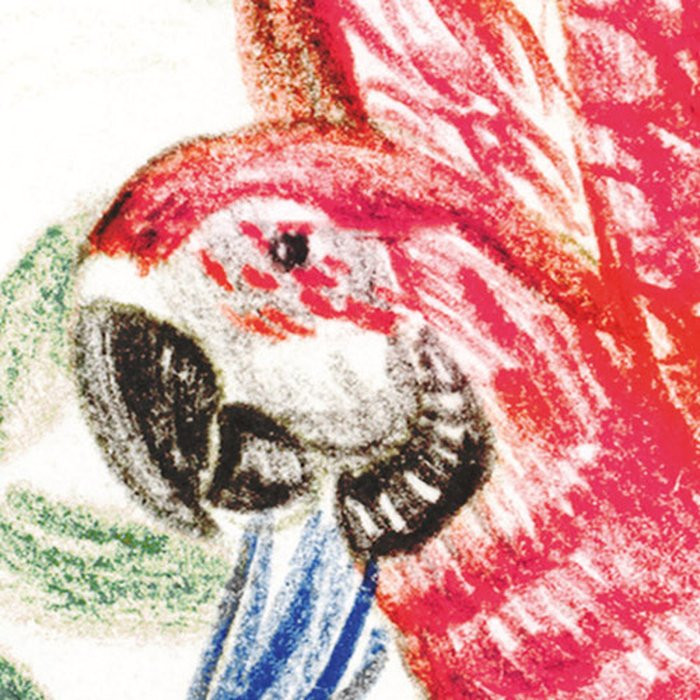Wild Wonderland