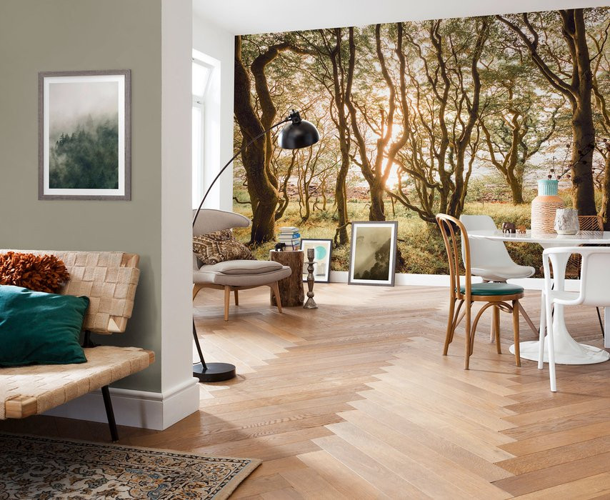 Bold Birch
