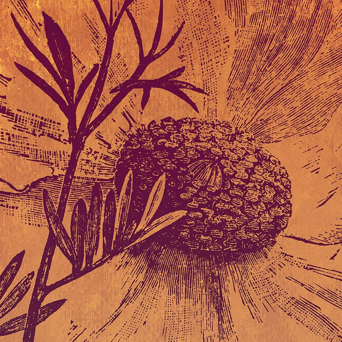 Harvest