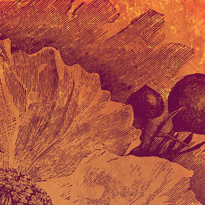Harvest