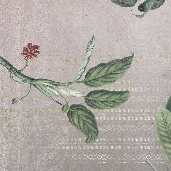 Tropic Concrete