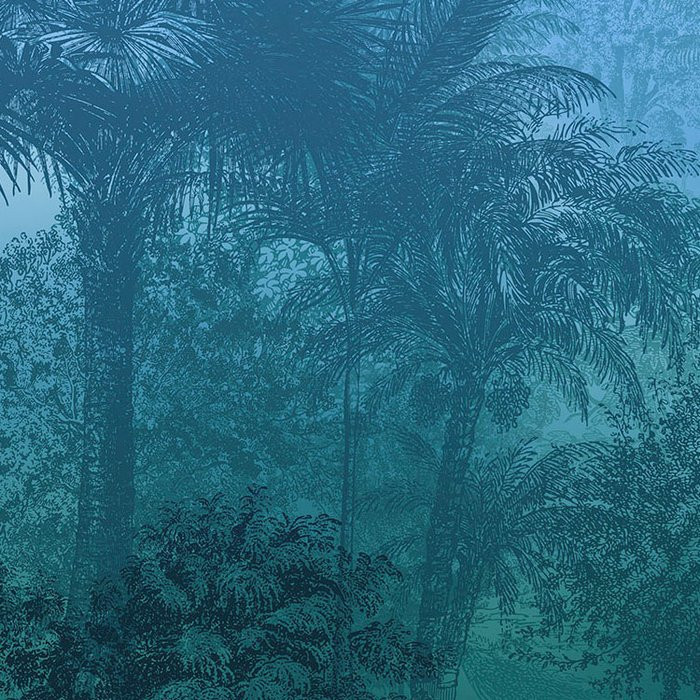 Deep in the Jungle