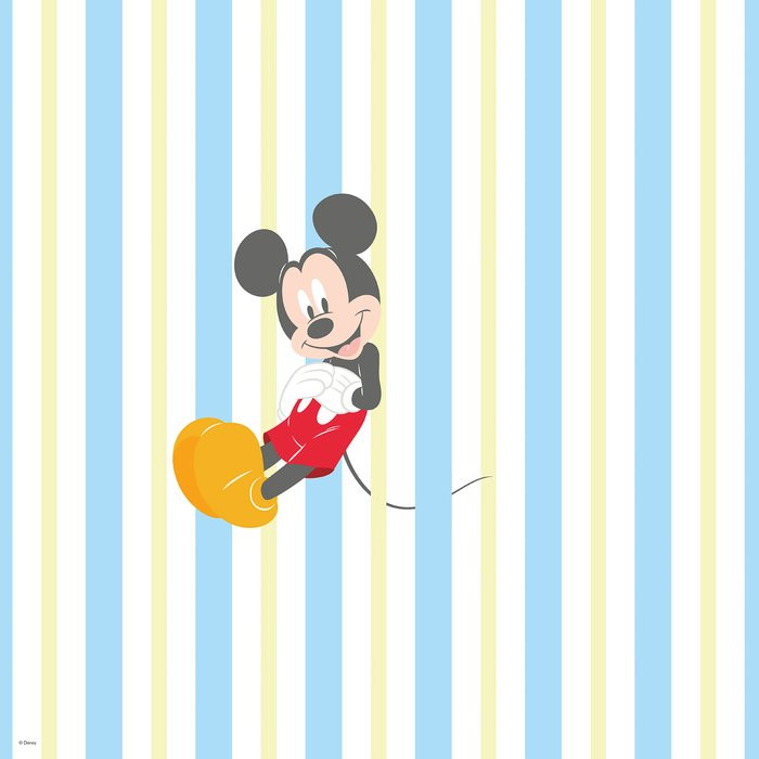 Mickey Sweet Dreams