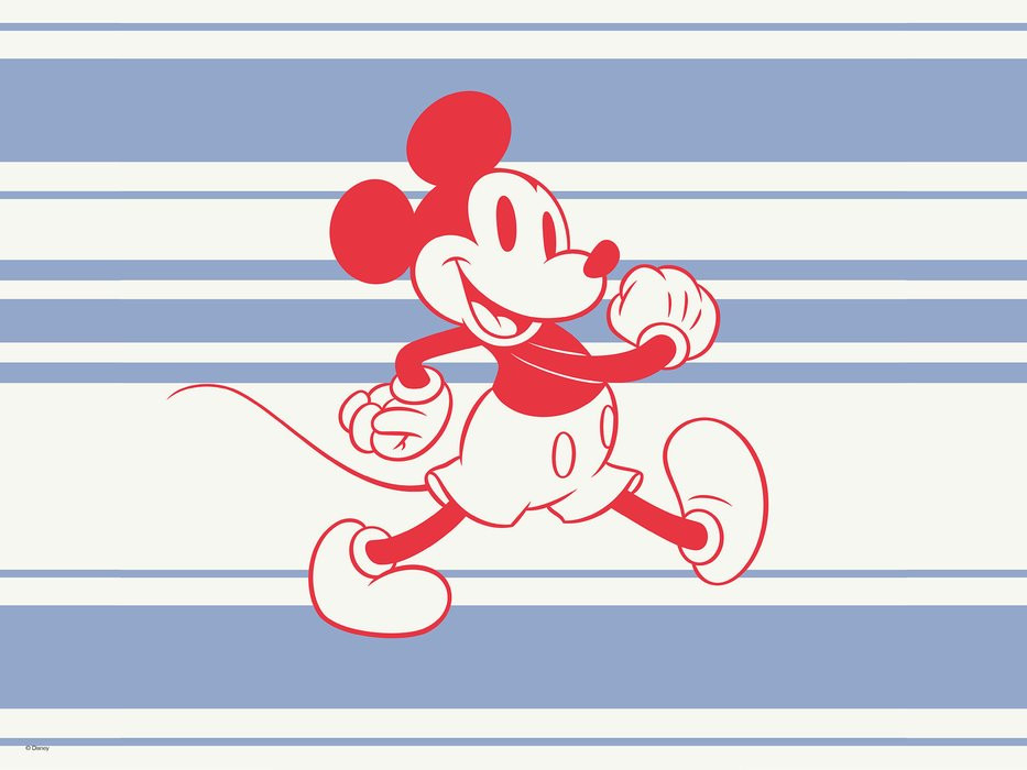 Mickey Wonderful Live