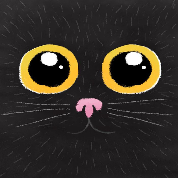 Black Cat