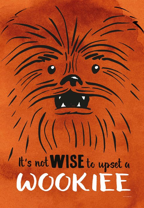 Star Wars Don´t Upset Wookiee
