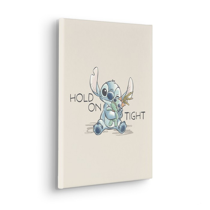 Disney Lilo and Stitch Hold On Tight