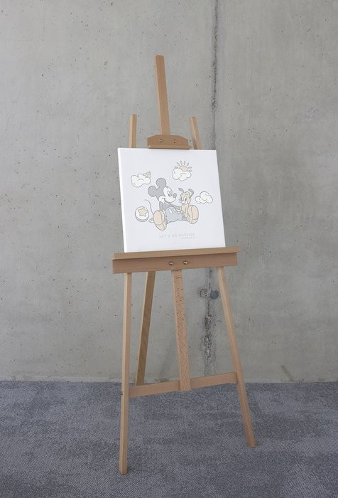 Disney Mickey Mouse Let's Go Outside