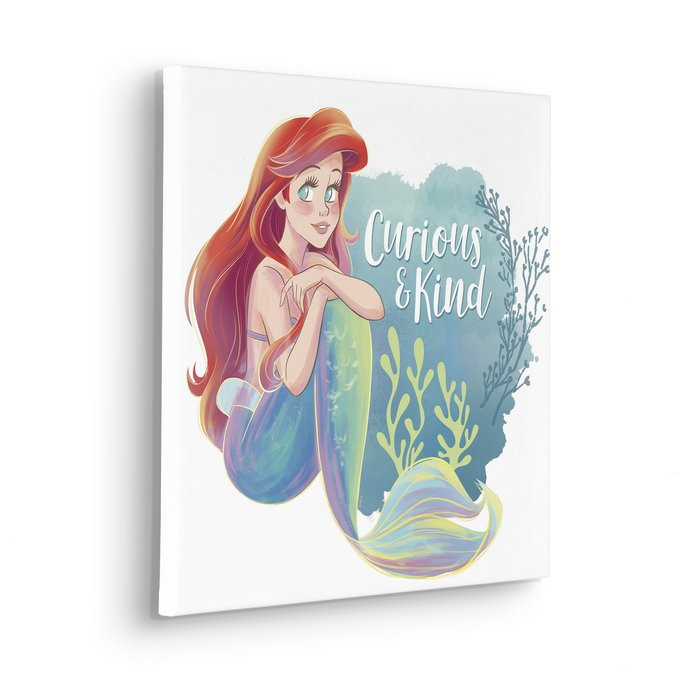 Disney Ariel Curious & Kind