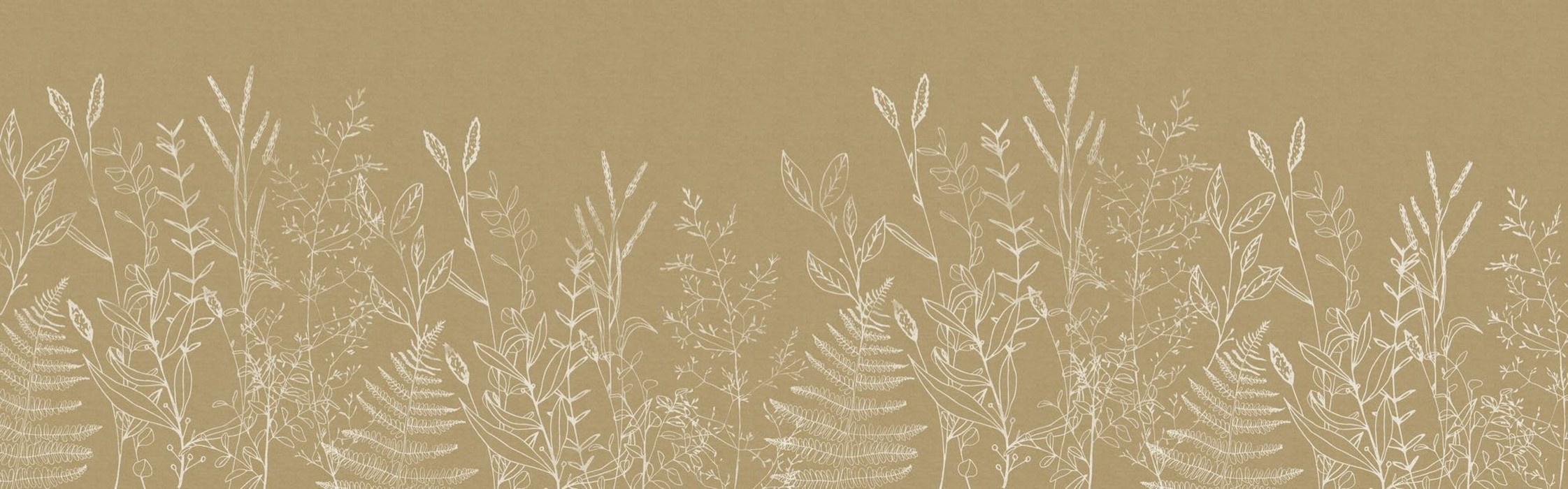 Herbs Garden