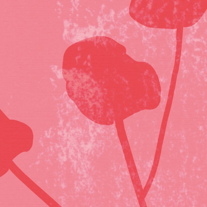 Bonbons aux Fruits