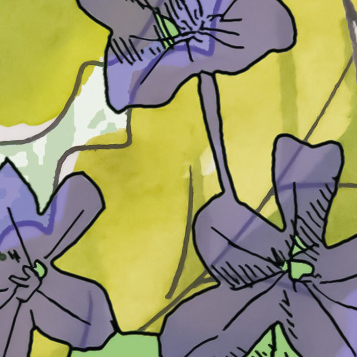 Hortus