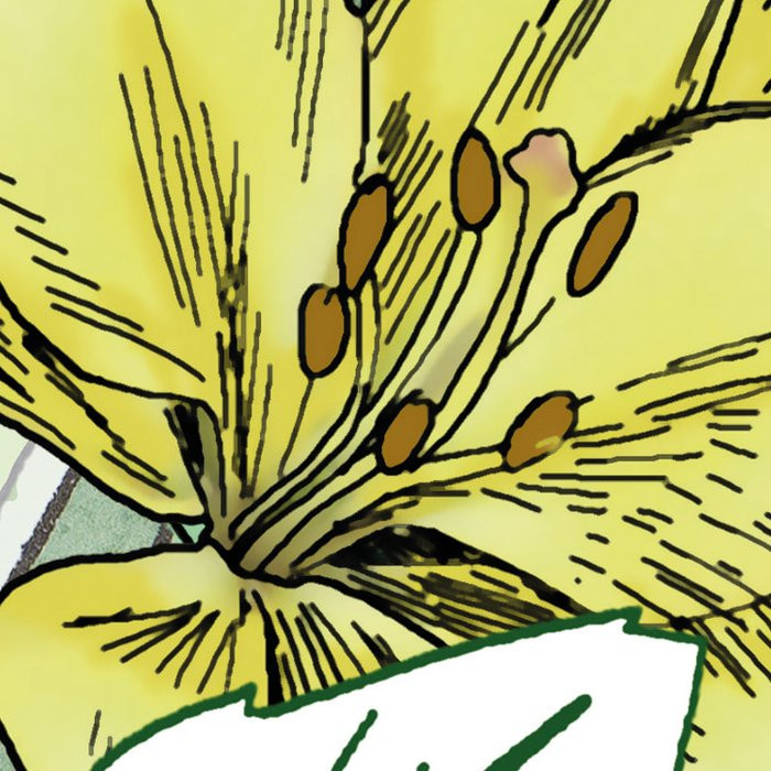 Hortus