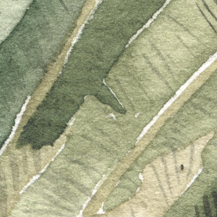 Forêt de Palmiers