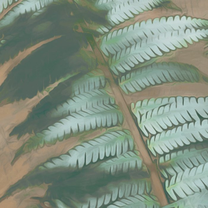 Manoa