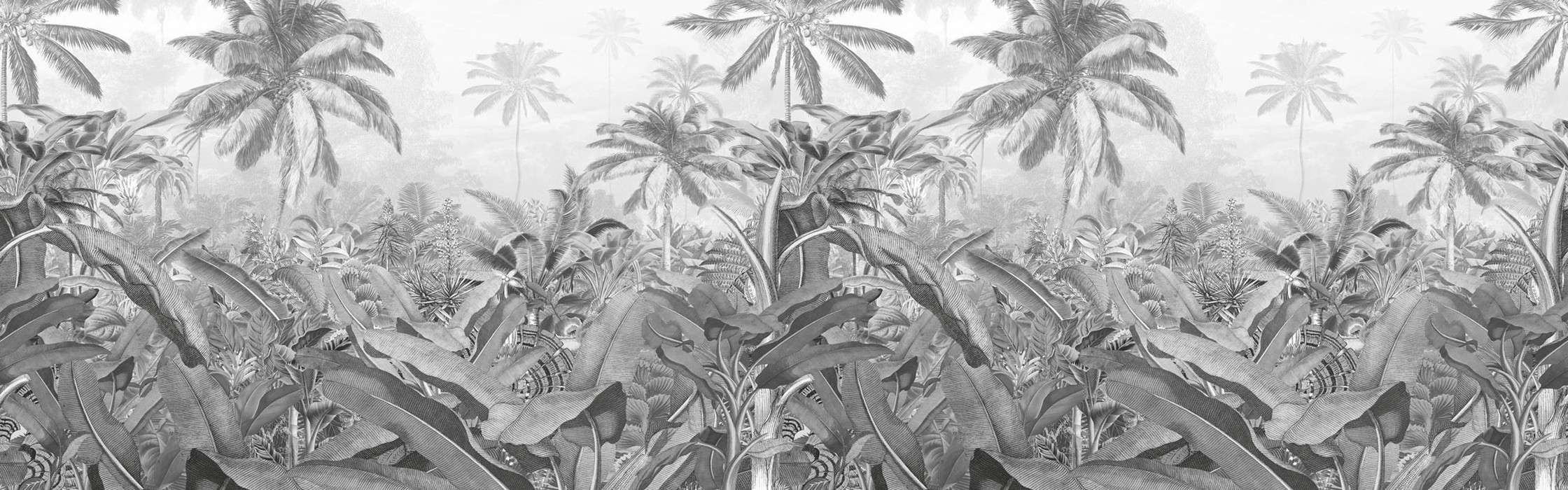 Amazonia Black and White