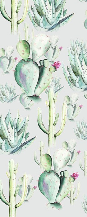 Cactus Grey