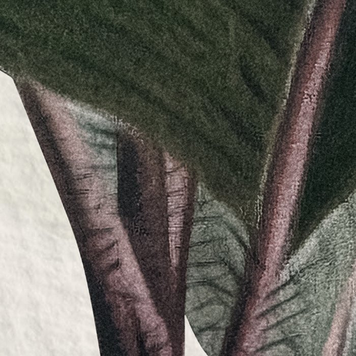 Jungle Spot