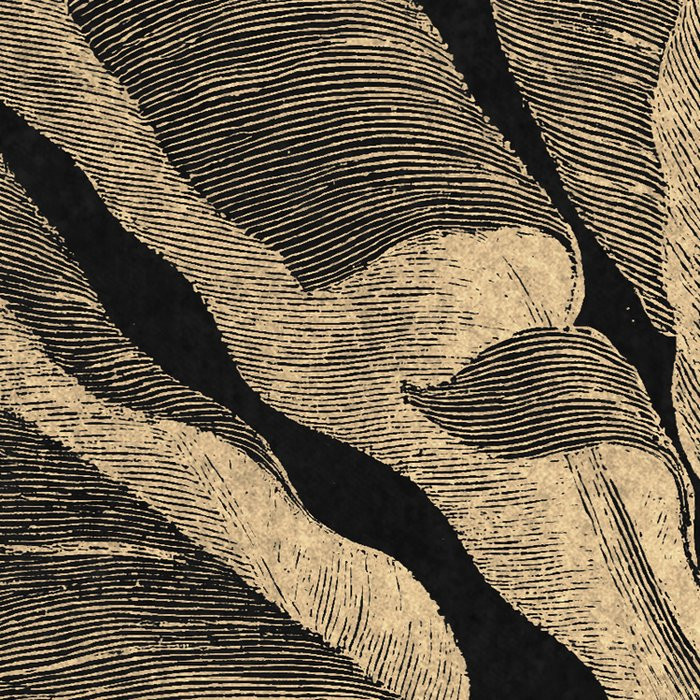 En Détail