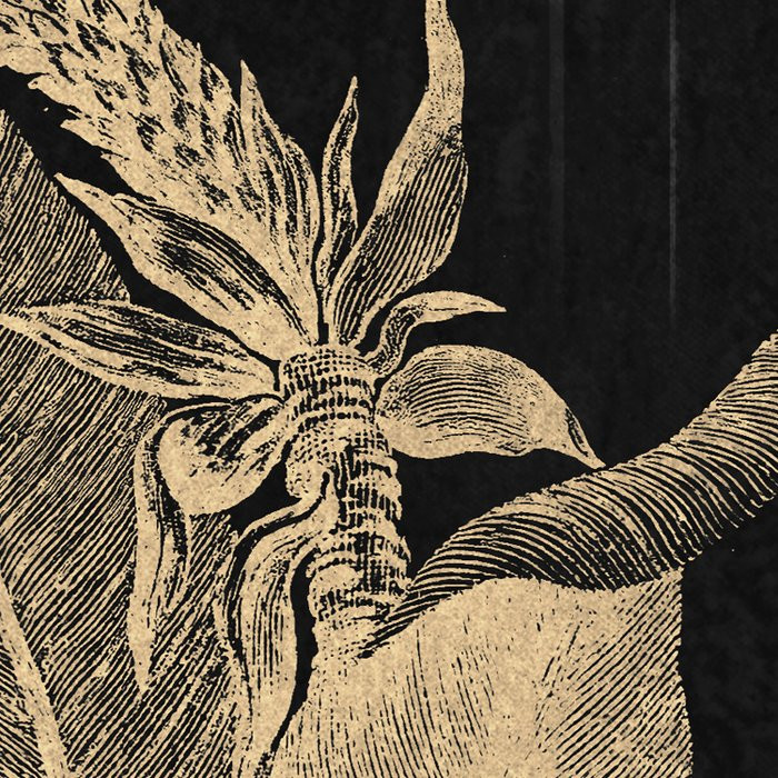 En Détail
