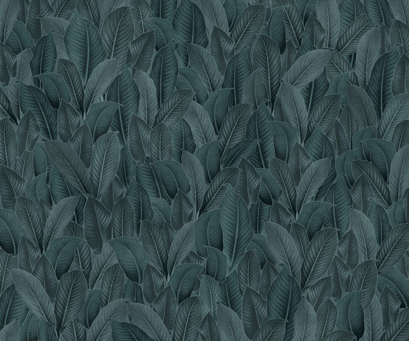 Bain de Feuilles