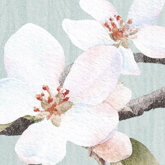 Apple Blossom