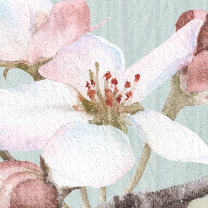 Apple Blossom