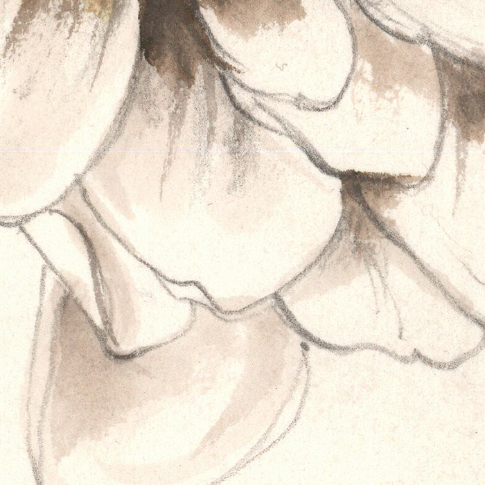 Vintage Chrysanthemum