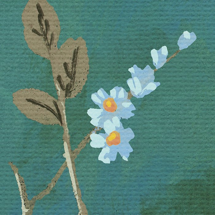 Birdsong Breeze