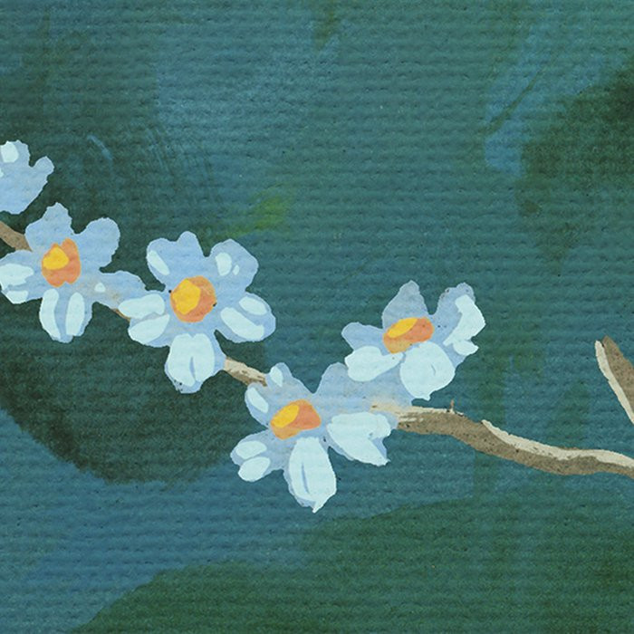 Birdsong Breeze