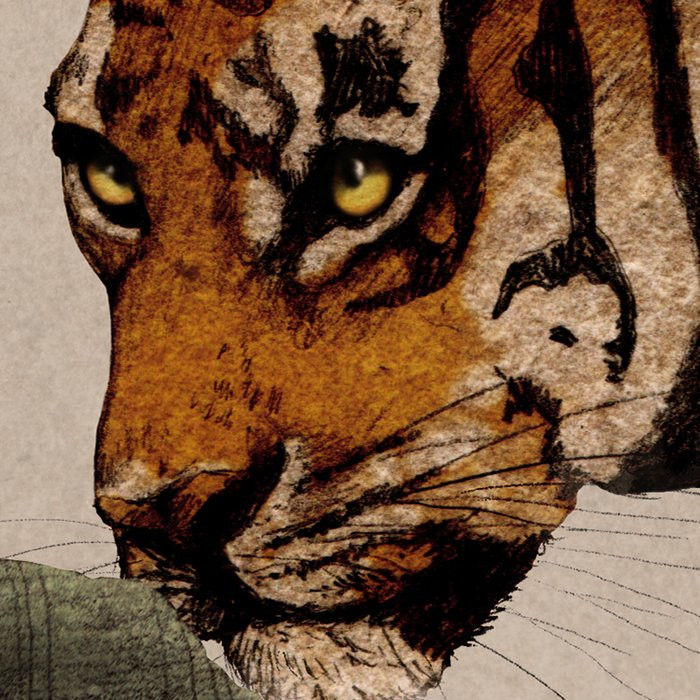 Tiger Jungle