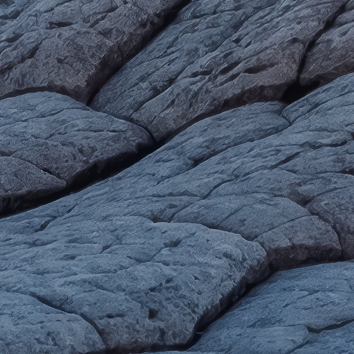 Elephant Skin