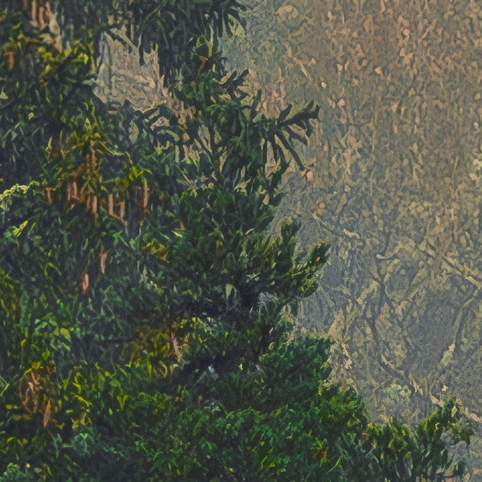 Mystical Firs