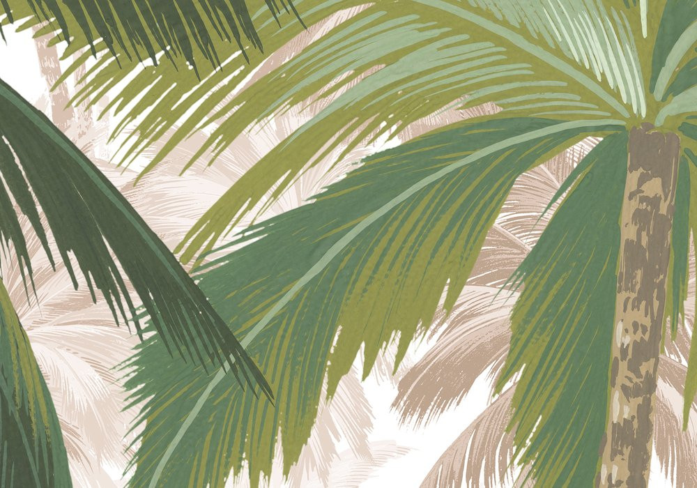 Palmera