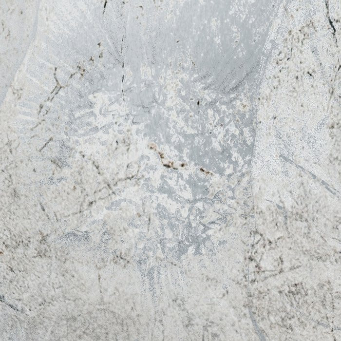 Flower Fossil