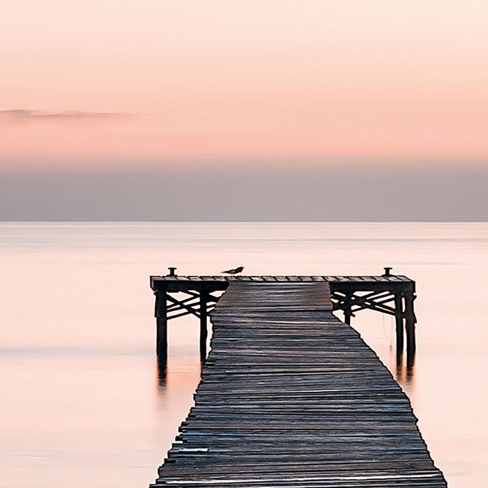 Morning Breeze