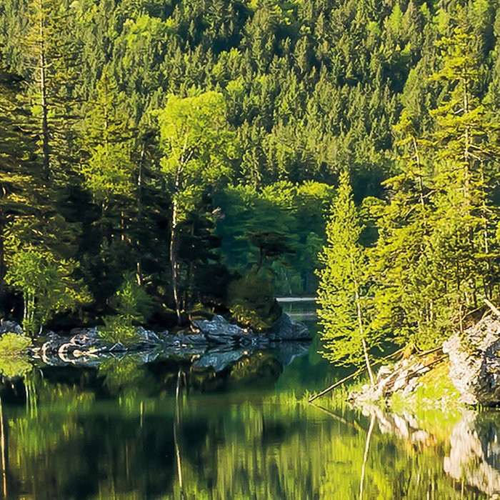 Beautiful Germany