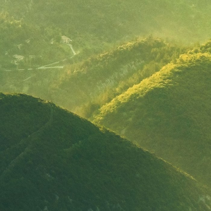 The Shire